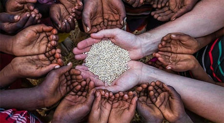 Global Perspective: How Do Different Countries Address Food Aid Issues?